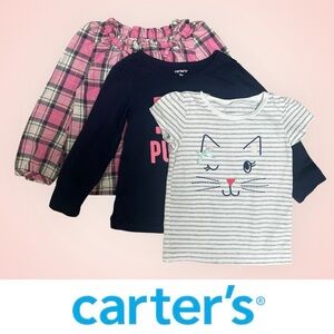 Carter's Set‎ of 3 Tops, Size 2T, MSRP $48